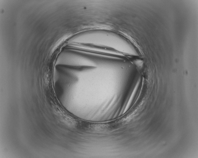 X0000075361163200609291453