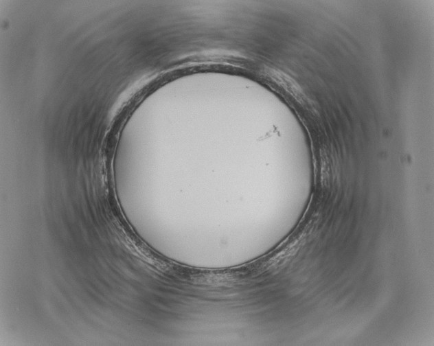 X0000075361164200609291453