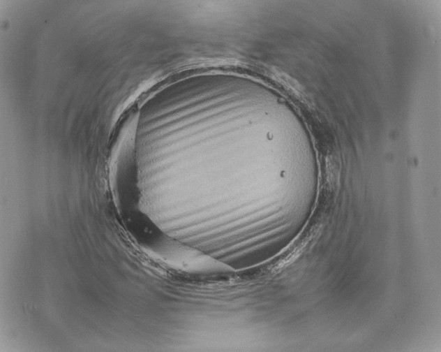 X0000075361165200609291453