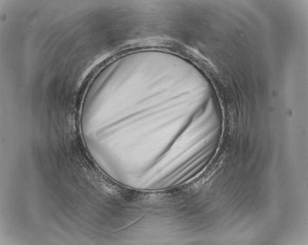 X0000075361166200609291453