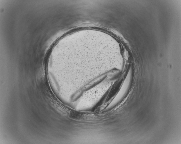 X0000075361167200609291453