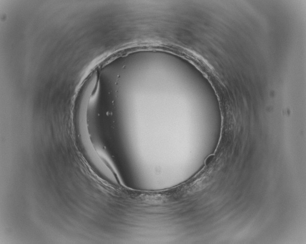 X0000075361168200609291453