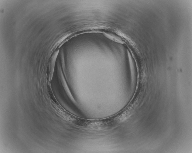 X0000075361169200609291453