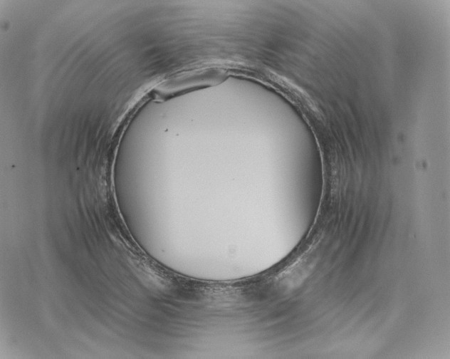 X0000075361170200609291453