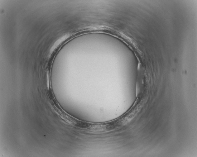 X0000075361171200609291453