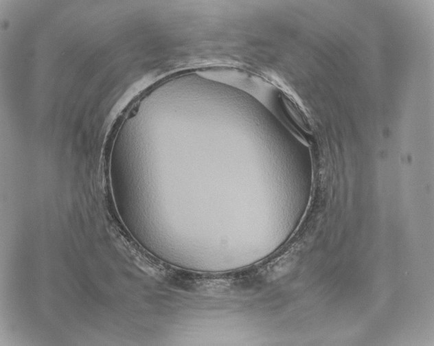 X0000075361173200609291453