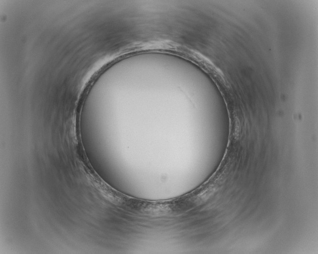 X0000075361174200609291453