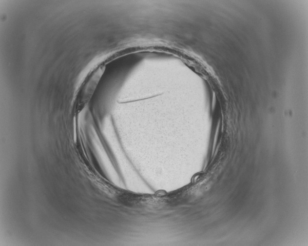 X0000075361175200609291453