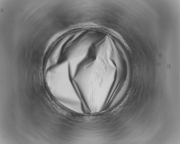 X0000075361176200609291453