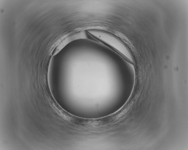 X0000075361177200609291453