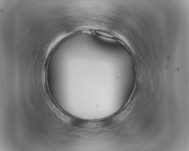 X0000075361179200609291453