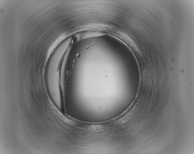 X0000075361180200609291453