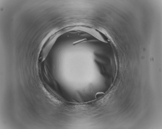 X0000075361181200609291453