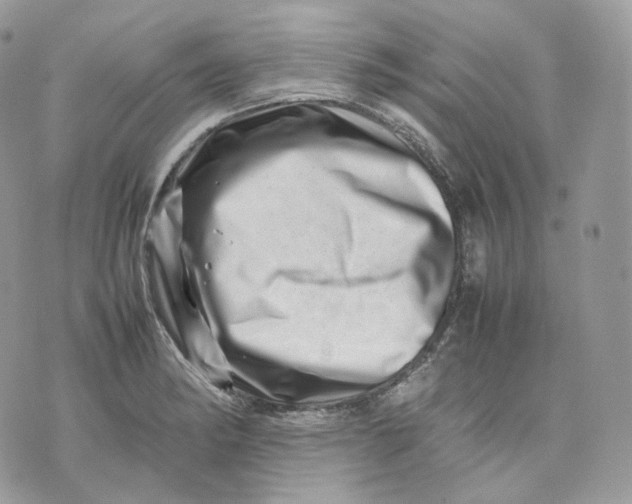 X0000075361182200609291453