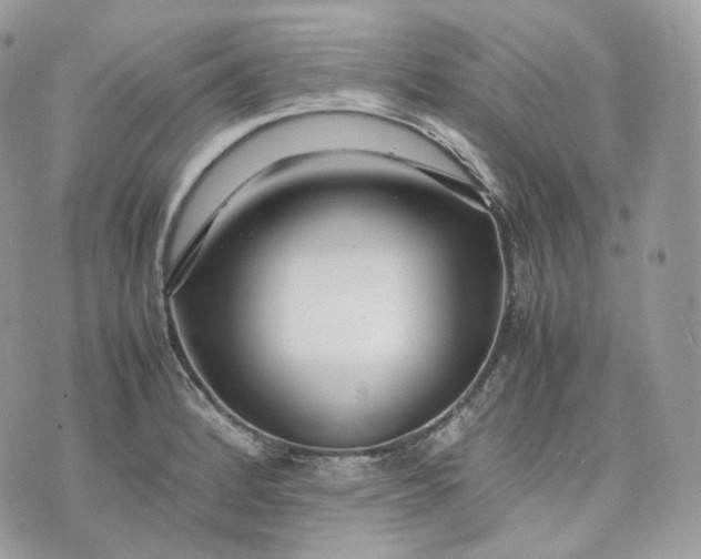 X0000075361184200609291453