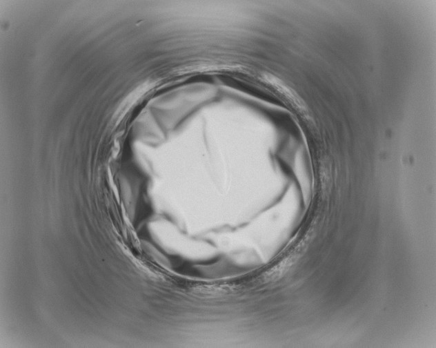 X0000075361185200609291453