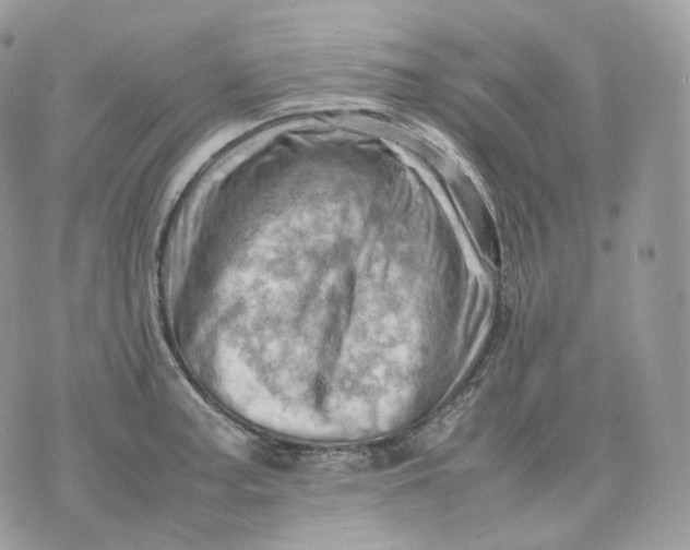 X0000075361187200609291453