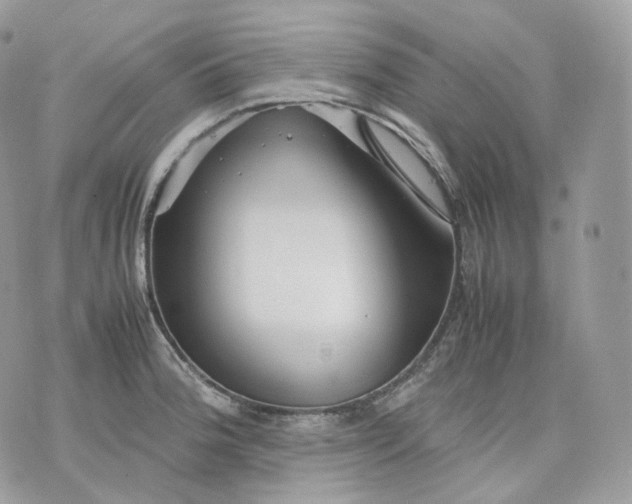 X0000075361188200609291453