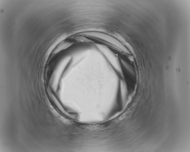 X0000075361189200609291453