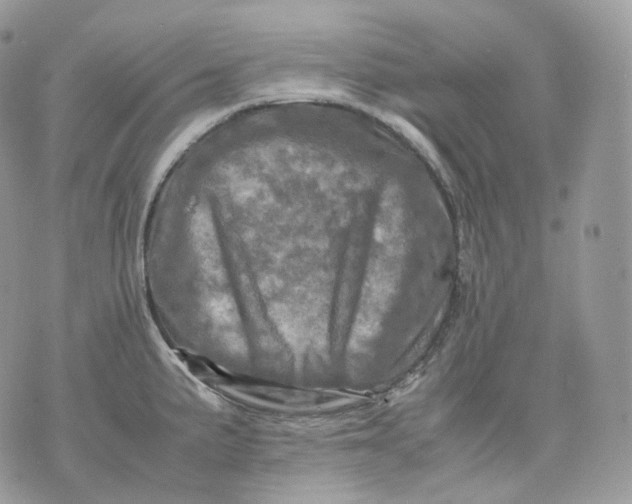 X0000075361191200609291453