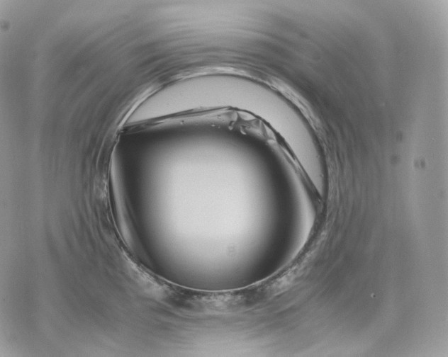 X0000075361193200609291453