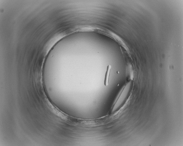 X0000075361194200609291453