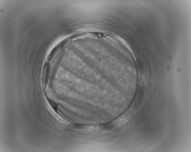 X0000075361195200609291453