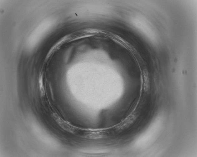 X0000075361198200609291453