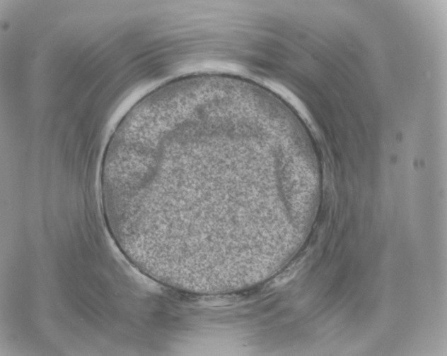 X0000075361199200609291453