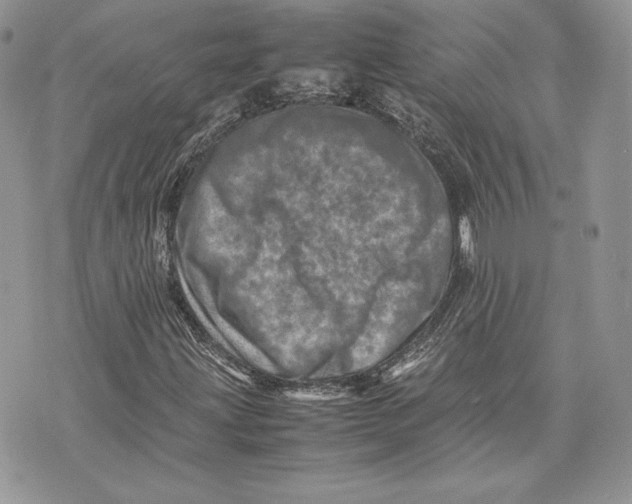 X0000075361203200609291452