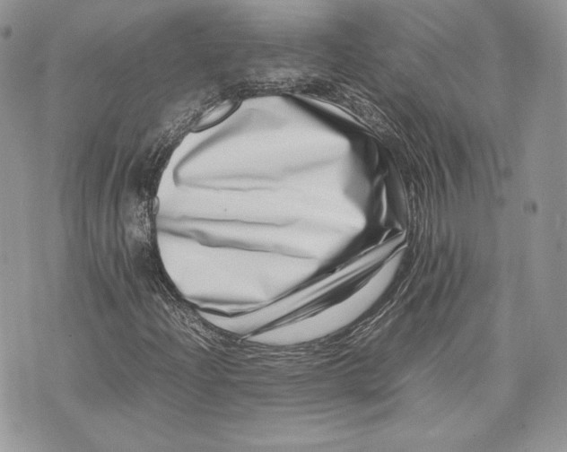 X0000075361204200609291452