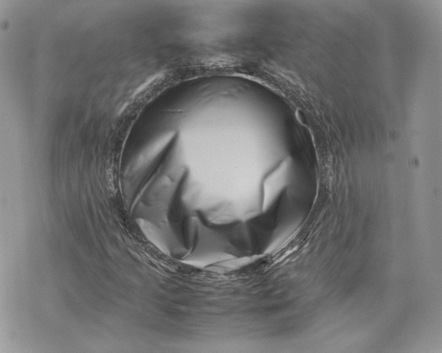 X0000075361205200609291452