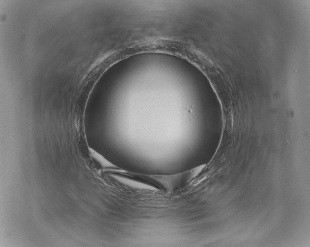 X0000075361206200609291452