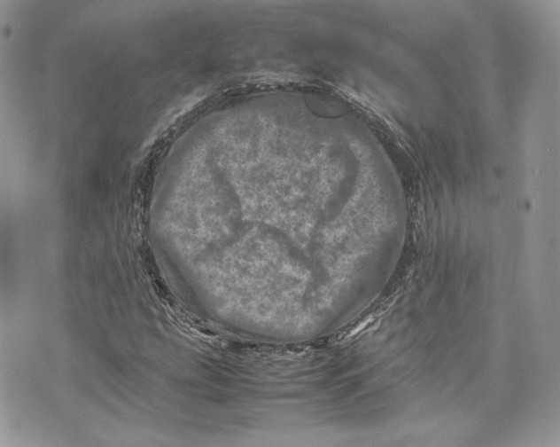 X0000075361207200609291452