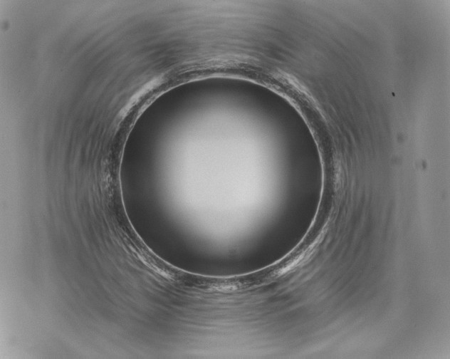 X0000075361210200609291452