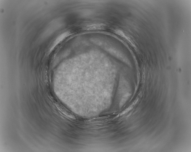 X0000075361211200609291452