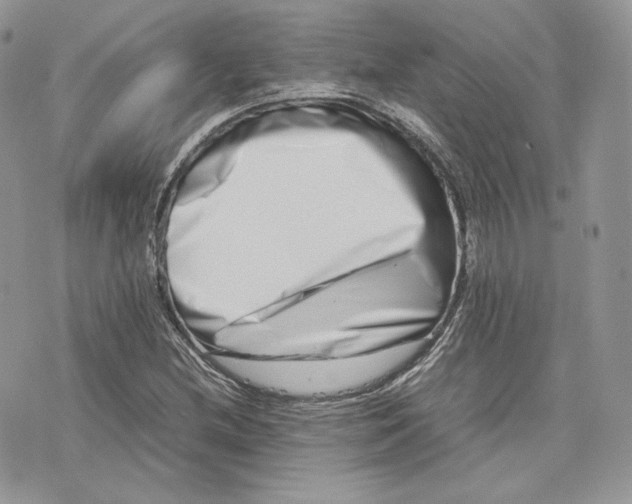 X0000075361212200609291452