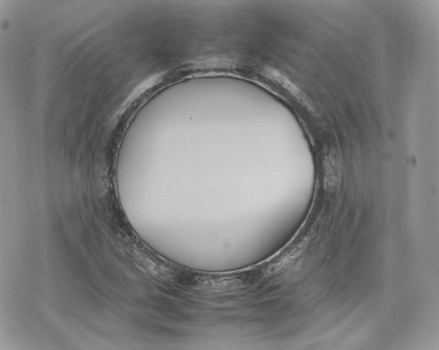 X0000075361213200609291452