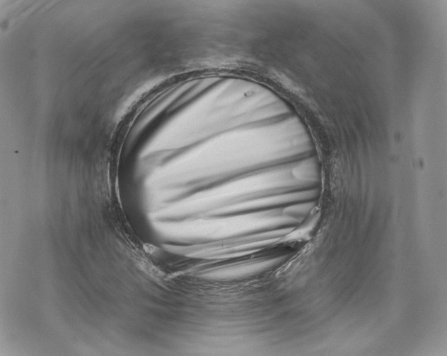 X0000075361214200609291452