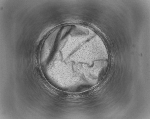 X0000075361215200609291452