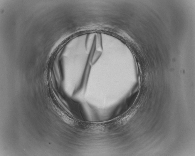 X0000075361216200609291452