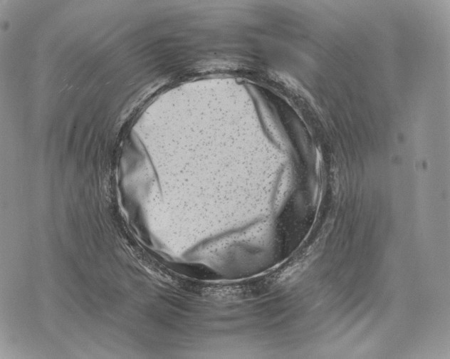 X0000075361217200609291452