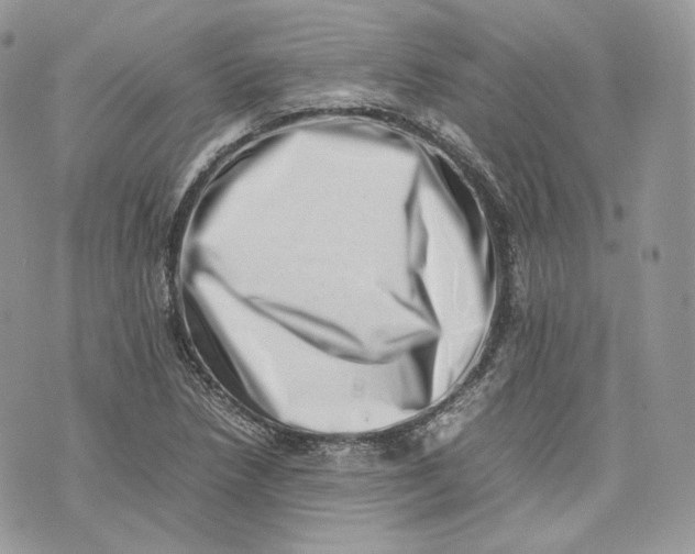 X0000075361218200609291452