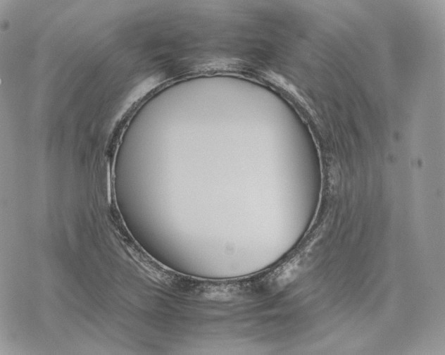 X0000075361219200609291452