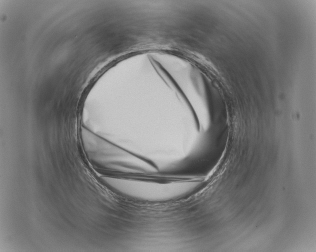 X0000075361220200609291452