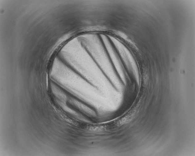 X0000075361221200609291452