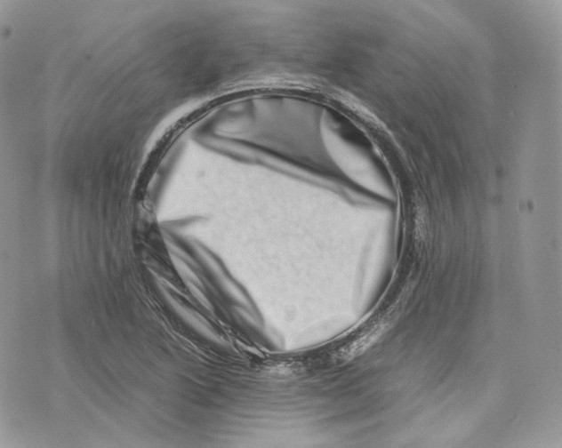 X0000075361222200609291452