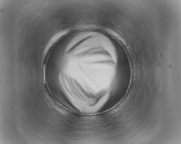 X0000075361223200609291452