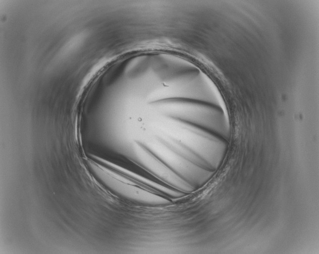 X0000075361224200609291452