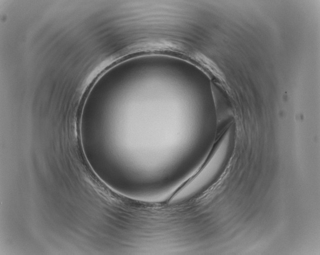 X0000075361226200609291453